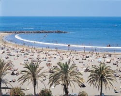 Stranden Tenerife Costa Adeje - strand met palmbomen