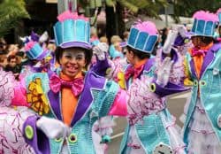 Coso Apoteosis Carnaval Santa Cruz 2016