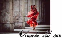 Flamenco “Viento del Sur”