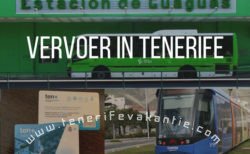 Vervoer Tenerife – taxi, bus of huurauto?