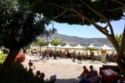 Boerenmarkt Arona herstart in Los Cristianos