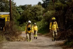 Bosbrand op Tenerife einde in zicht