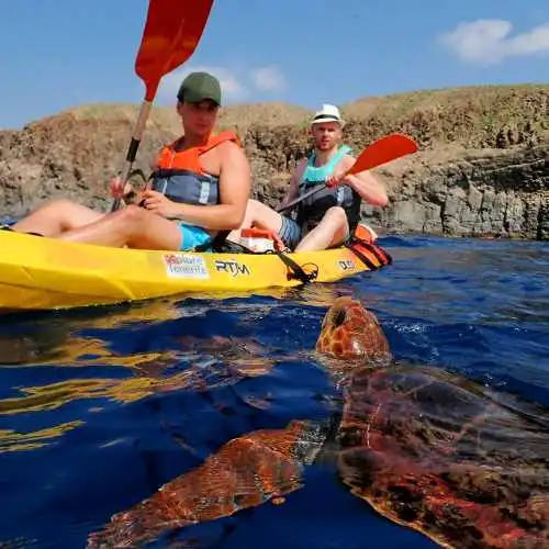 Kayakken en schildpadden zien