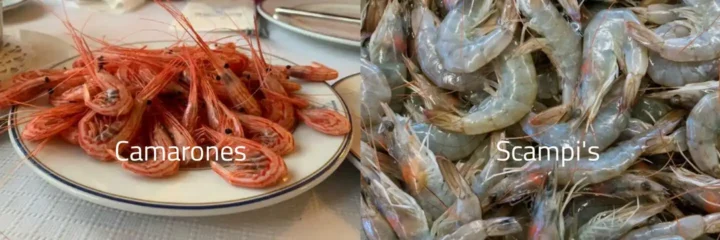 Camarones versus Scampi's